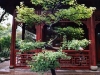 2004_chine_053 2004_chine_053