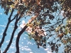 ct_10 ct_10