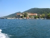 IMG_1654 IMG_1654
