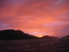IMG_1679 IMG_1679