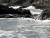DSC00333 DSC00333