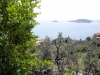 DSC00387 DSC00387