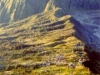 bromo2 bromo2