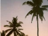 kuta1 kuta1