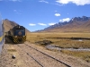 IMG_1541 IMG_1541