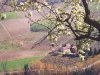 piemont_7 piemont_7