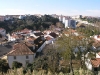 P1010067 P1010067
