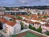 P4200065 P4200065