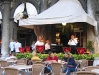 IMG_1970 IMG_1970