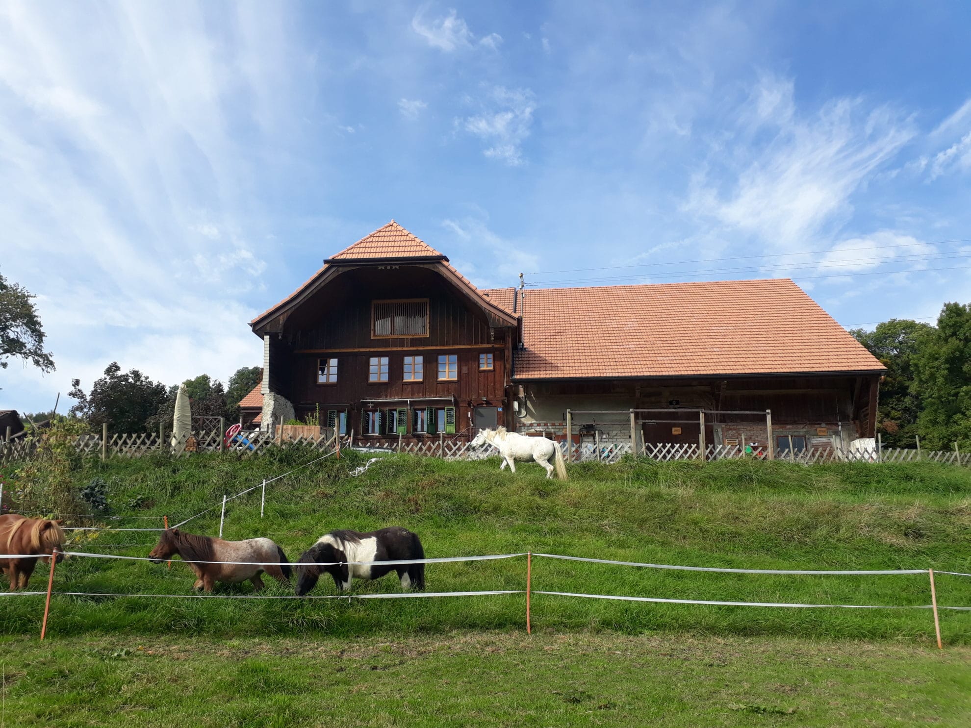 Ferme Pedagogique Les Cabot Ins Activite Famille Suisse
