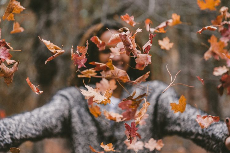 novembre-activites-familles